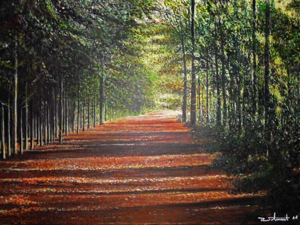 Roli's Art Studio | Galerie